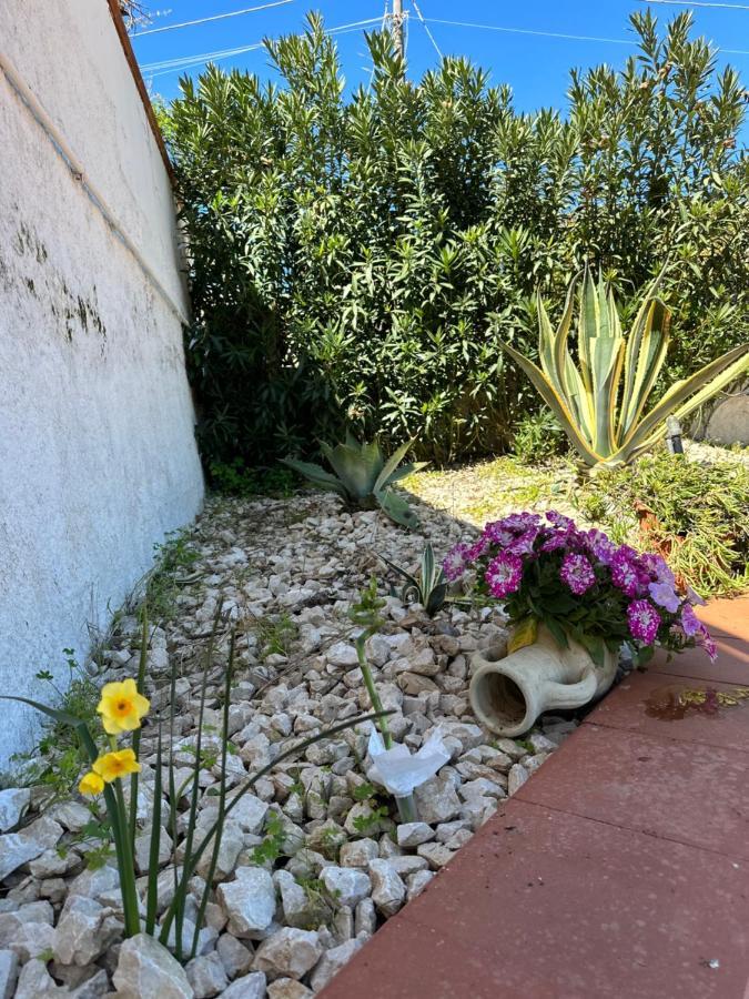 Villa Fiorenza - 100 Mt Dal Mare Castellammare del Golfo Kültér fotó
